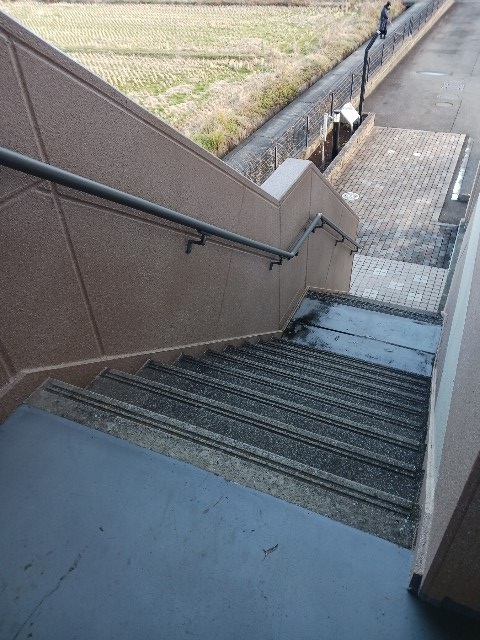 11/20 その他画像