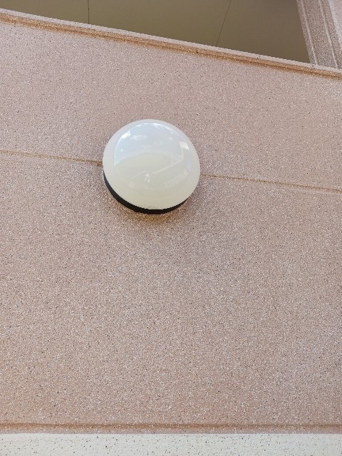 5/20 その他画像