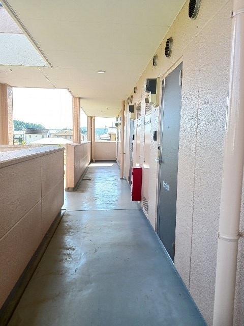 7/20 その他画像