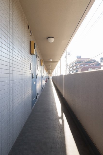 17/25 その他画像