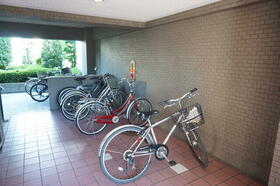 13/13 その他画像