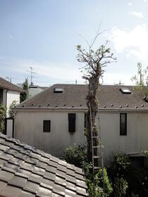 12/16 その他画像