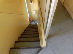 11/11 その他画像