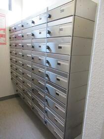 13/15 その他画像