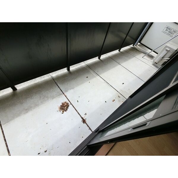 9/13 バルコニー