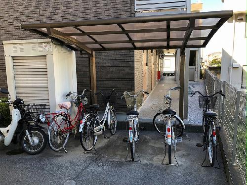 11/14 その他画像