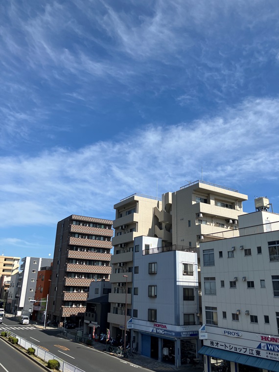 13/16 その他画像