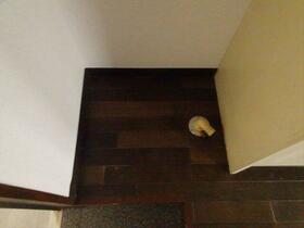 16/16 その他画像