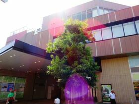 15/16 その他画像