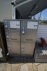 15/16 その他画像