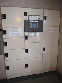 15/16 その他画像