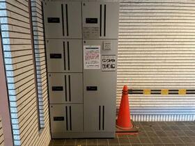 8/11 その他画像