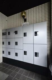 6/16 その他画像