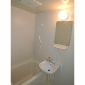 11/15 その他画像