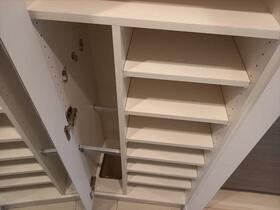 6/16 その他画像