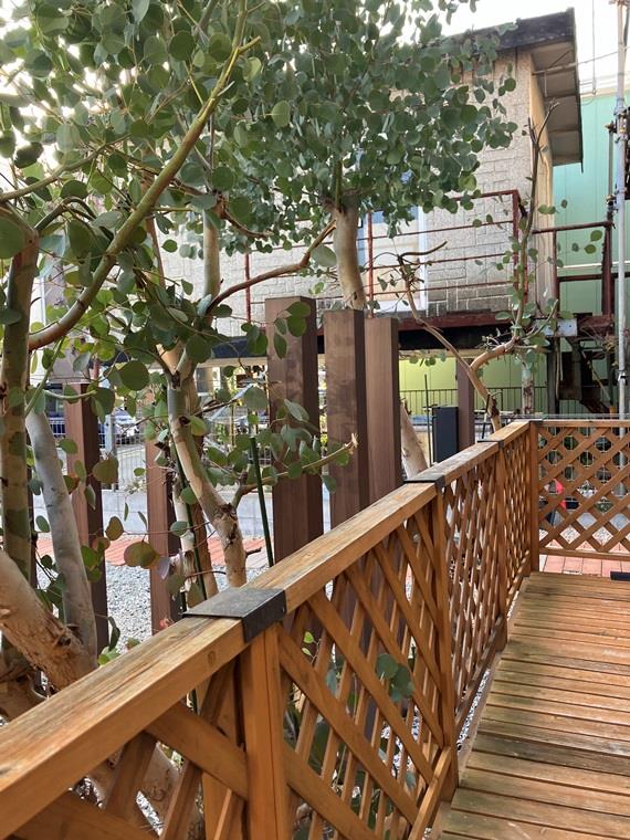 12/17 バルコニー