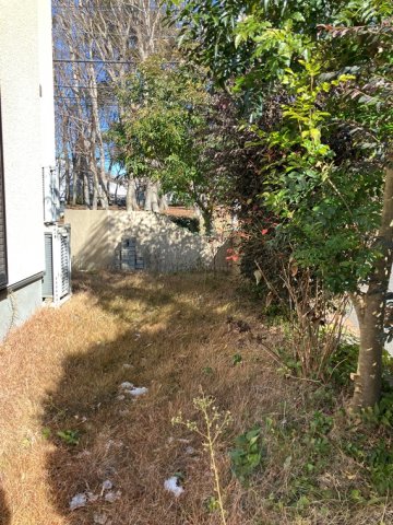 14/19 その他画像