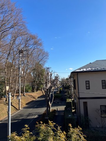 15/19 その他画像