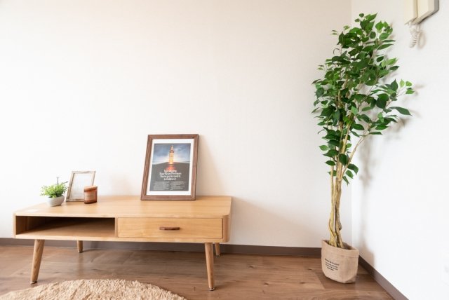 19/26 その他画像