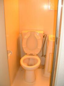 5/15 その他画像