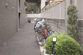 6/11 その他画像