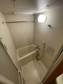 6/11 その他画像