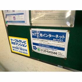 6/11 その他画像