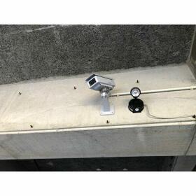 8/11 その他画像