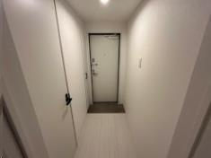 11/11 その他画像