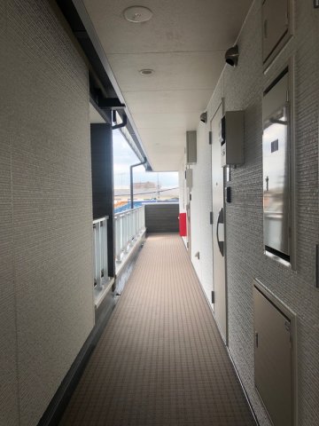 15/17 その他画像