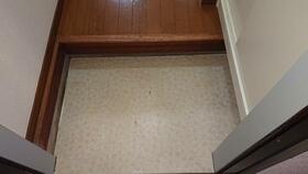 4/11 その他画像