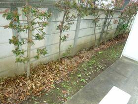 14/16 その他画像