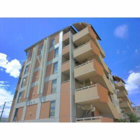 3/16 その他画像