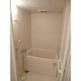 15/16 その他画像