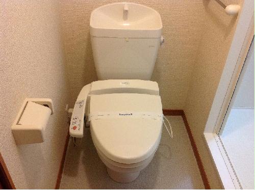 11/21 その他画像