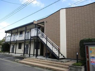 8/14 その他画像