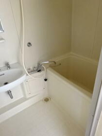 5/15 その他画像