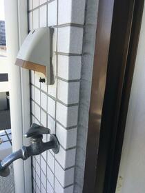 11/16 その他画像