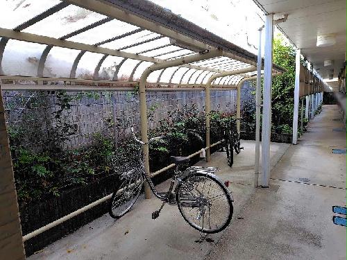 6/13 その他画像