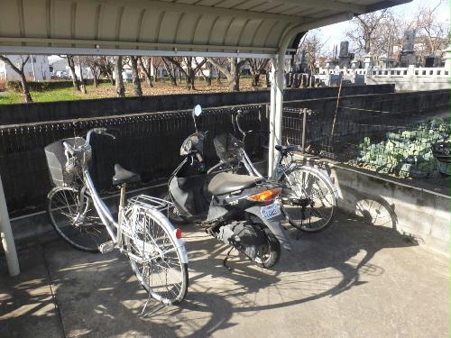 12/24 その他画像