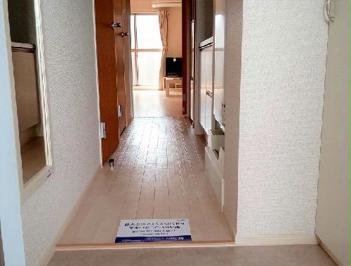 4/23 玄関