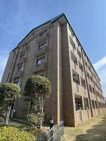 3/16 その他画像