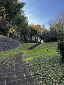 7/15 その他画像