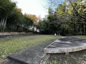 8/15 その他画像