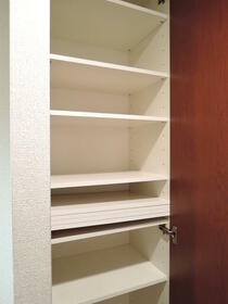 5/11 その他画像