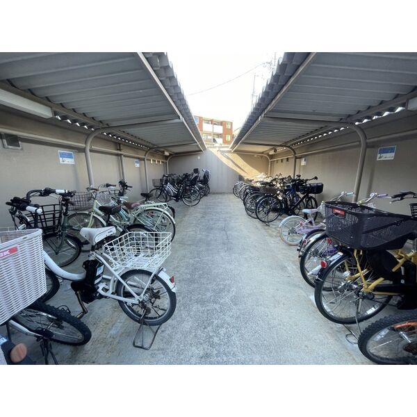 6/11 その他画像