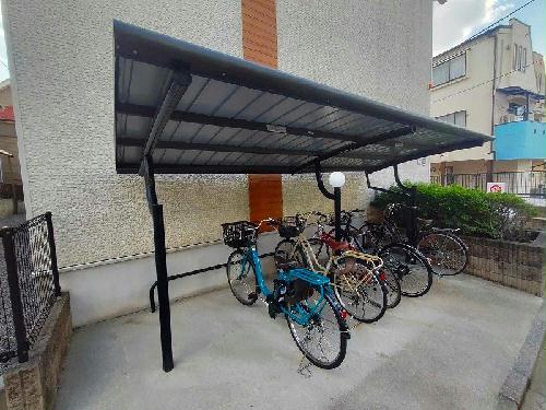 5/11 その他画像