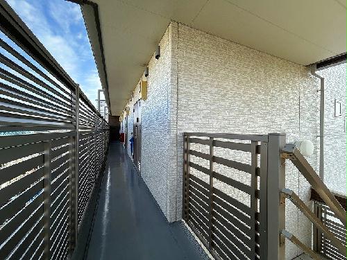 5/11 その他画像