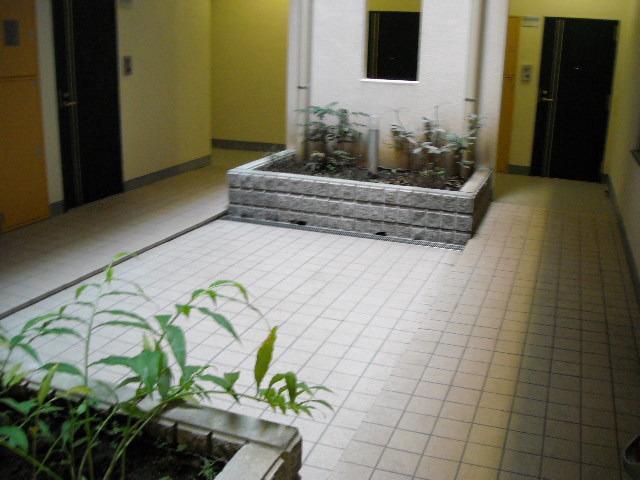 6/12 その他画像