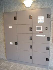 15/16 その他画像